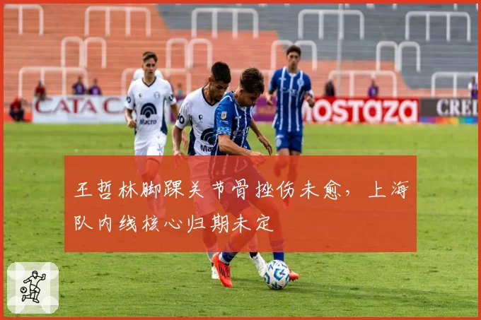 王哲林脚踝关节骨挫伤未愈，上海队内线核心归期未定