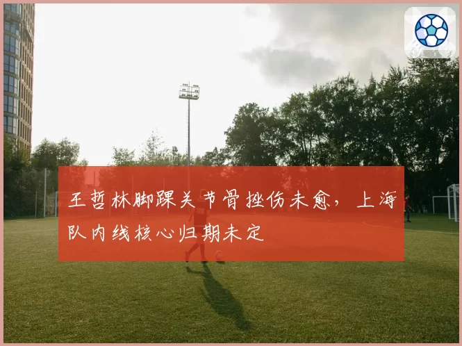 王哲林脚踝关节骨挫伤未愈,上海队内线核心归期未定